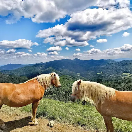 Hostel Bajta Kroparica *