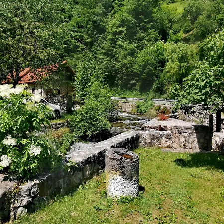Bajta Kroparica *