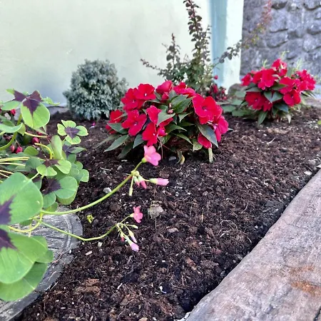 Bajta Kroparica * Kropa