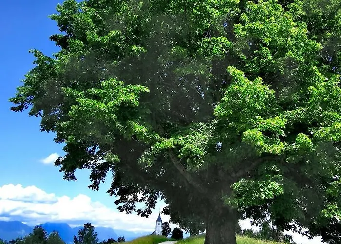 Bajta Kroparica Kropa