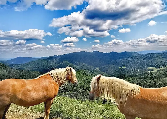 Vandrarhem Bajta Kroparica *
