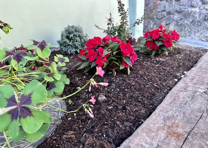 Bajta Kroparica * Kropa